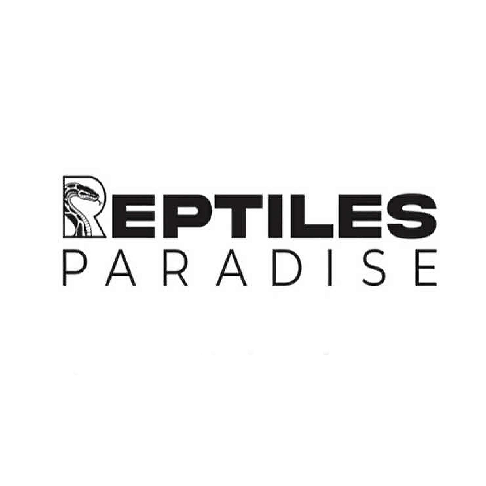 reptiles paradise